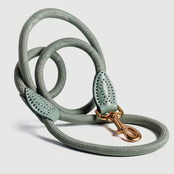 Sevoro Hundeleine – Salbei (170 cm)