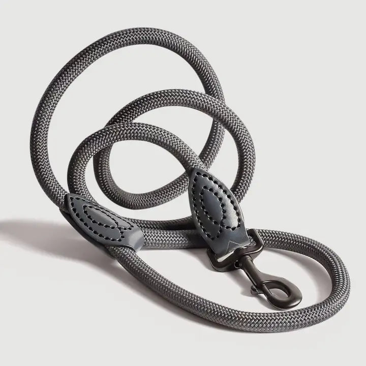 Sevoro Hundeleine – Grau (170 cm)